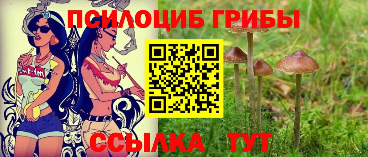 Курчатов  Псилоцибиновые грибы Cubensis  Вход с VPN  Псилоцибиновые грибы мухоморы 