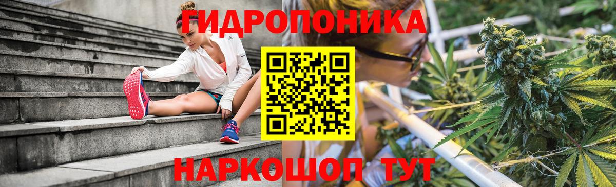 Бошки Шишки план Курчатов